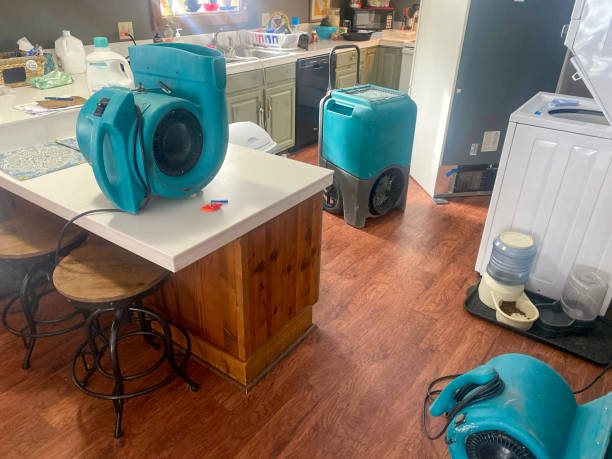Best 24-hour water damage restoration  in Collinsburg, PA