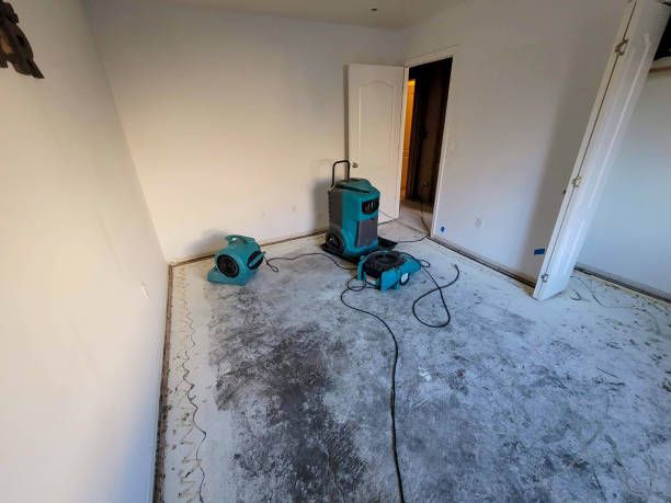 Best Water damage repair service  in Collinsburg, PA