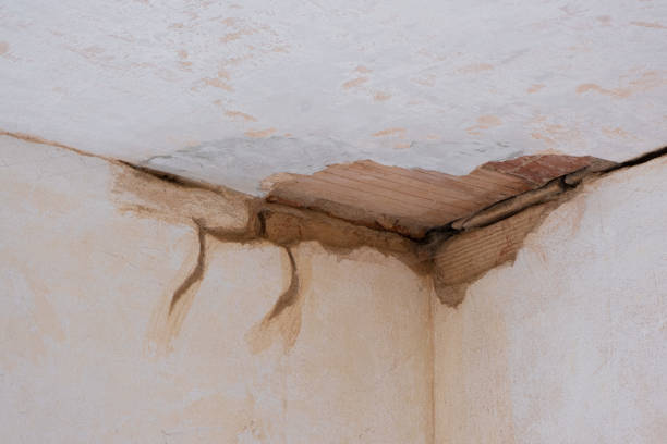 Best Water damage contractors near me  in Collinsburg, PA