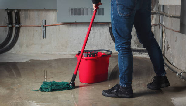 Best Water damage restoration services  in Collinsburg, PA