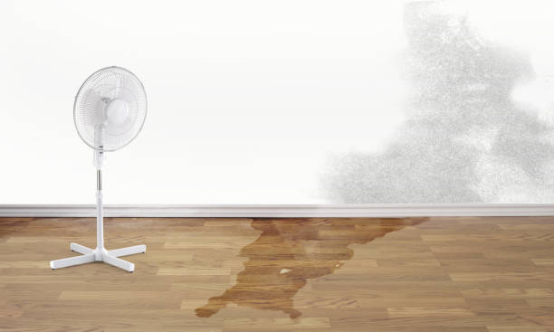 Best Water damage restoration specialists  in Collinsburg, PA