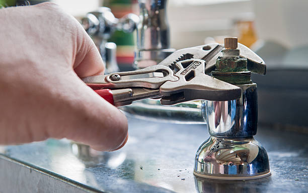 Best Professional water damage repair  in Collinsburg, PA