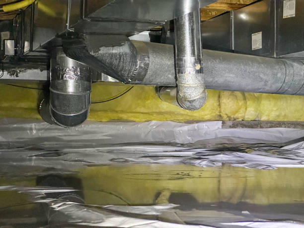 Best Flood damage cleanup  in Collinsburg, PA