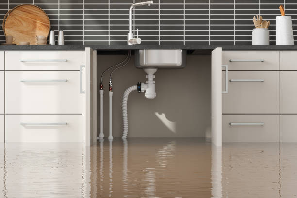 Best Local water damage restoration  in Collinsburg, PA