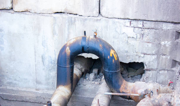 Best Professional water damage repair  in Collinsburg, PA