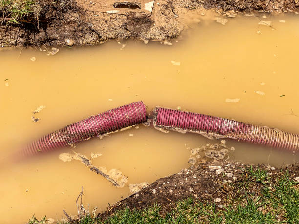 Best Basement water damage restoration  in Collinsburg, PA
