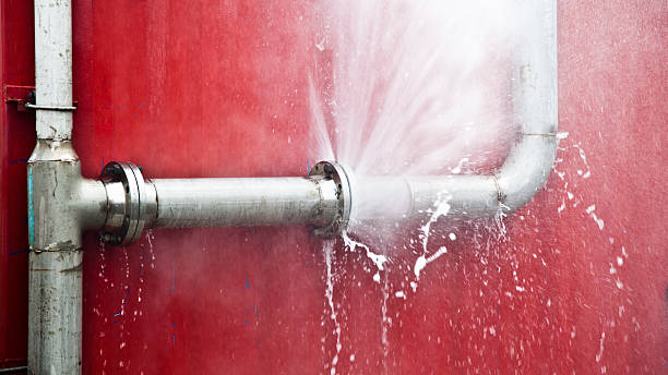 Best Ceiling water damage repair  in Collinsburg, PA