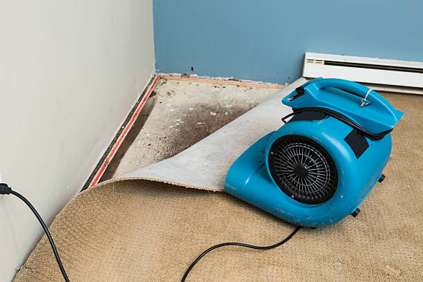 Best Ceiling water damage repair  in Collinsburg, PA